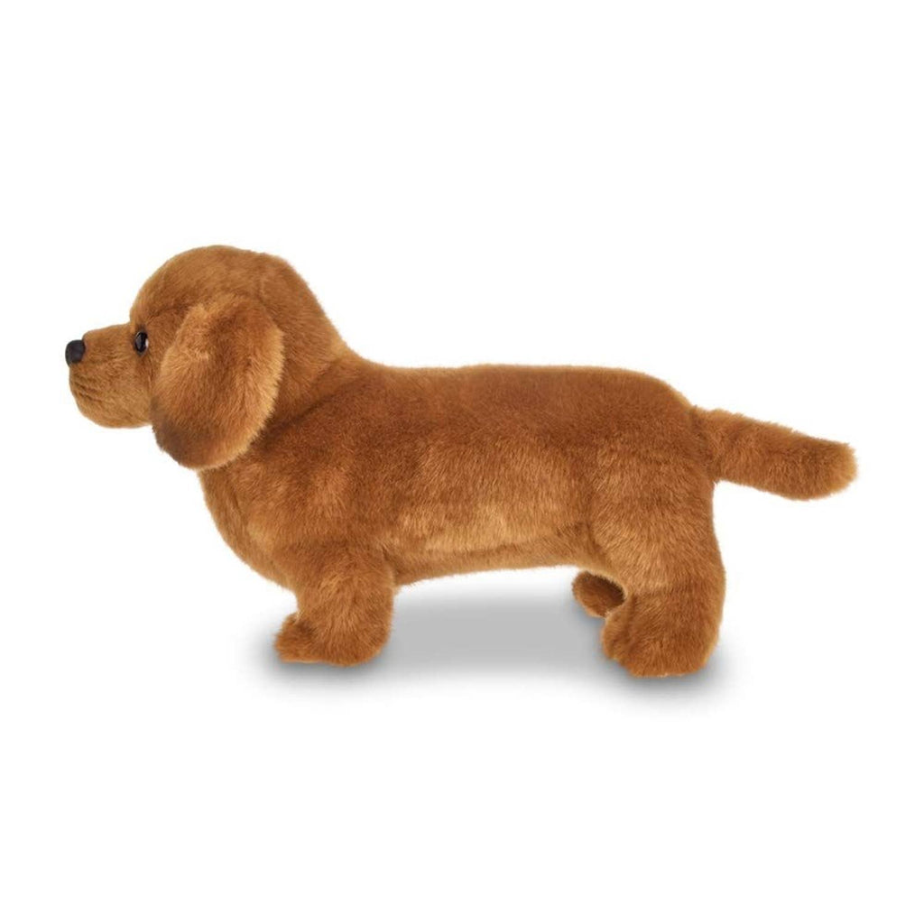 Frankie the Daschund