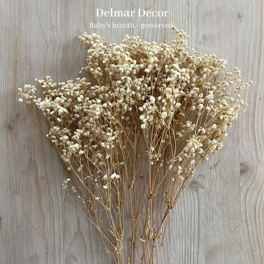 Preserved baby’s breath - natural