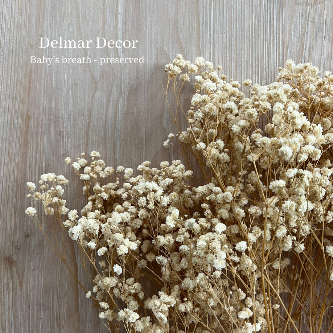 Preserved baby’s breath - natural