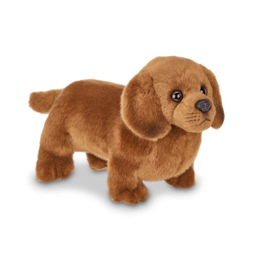 Frankie the Daschund