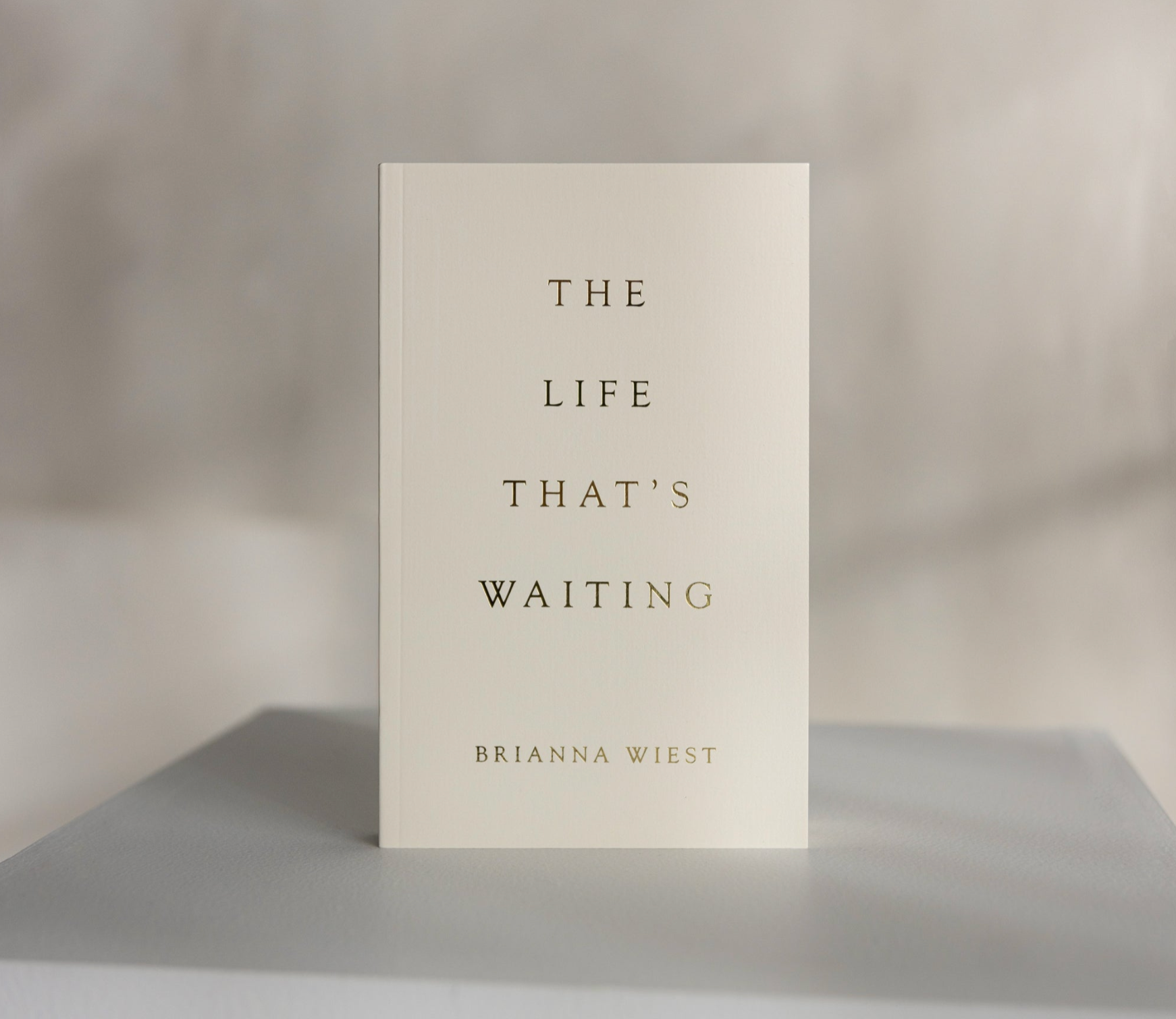 The Life That's Waiting (book)