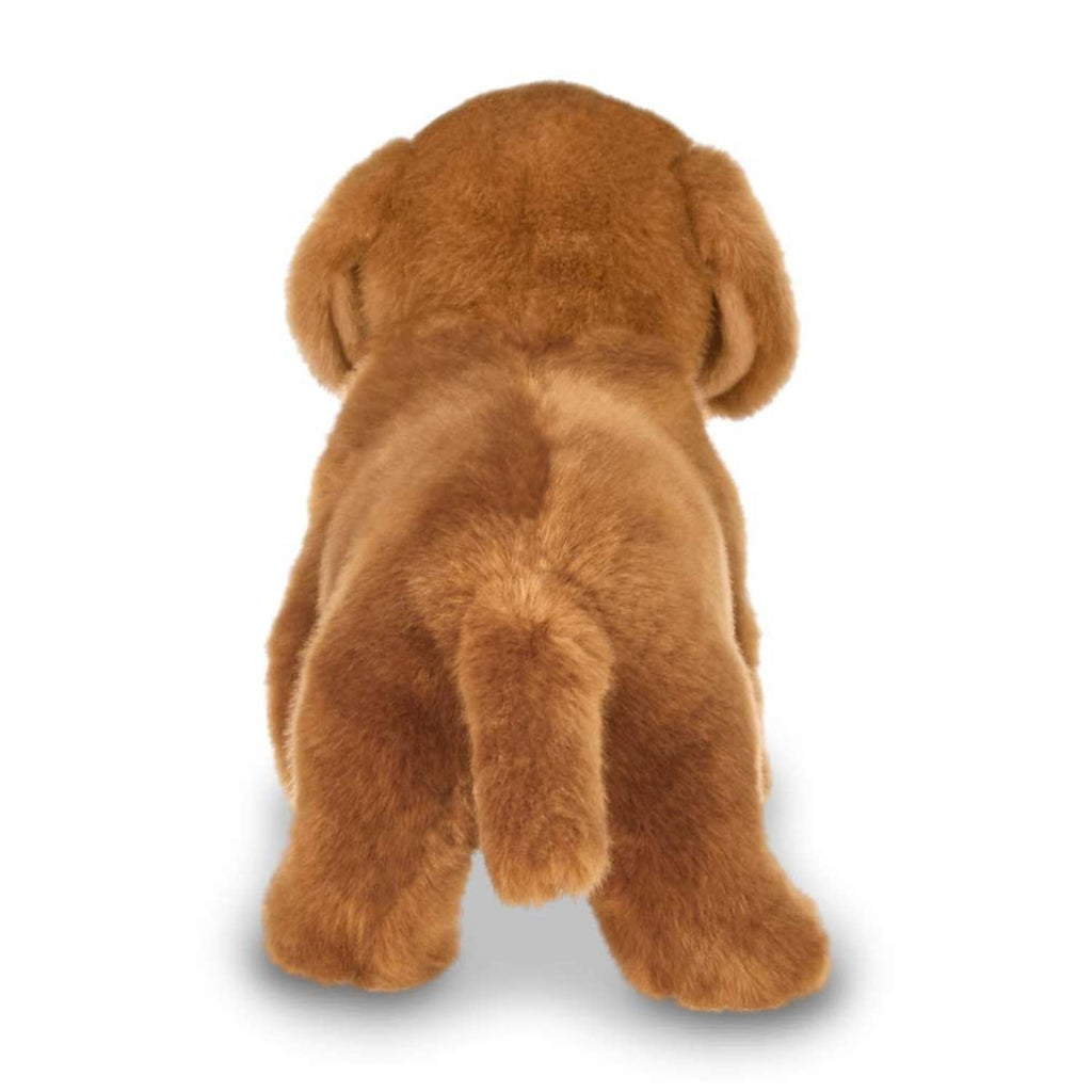 Frankie the Daschund