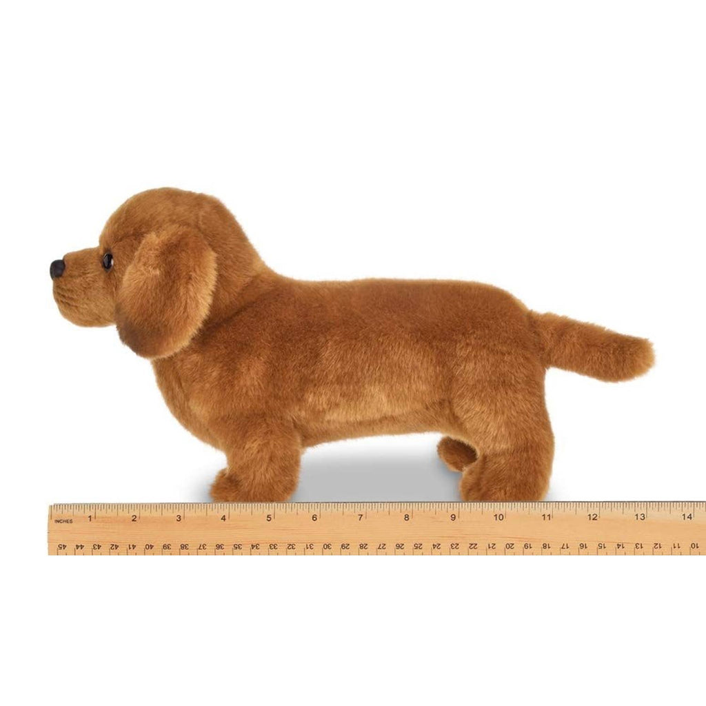 Frankie the Daschund